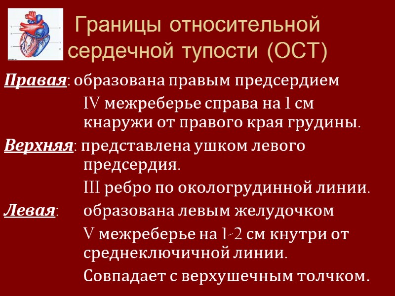 Границы относительной сердечной тупости (ОСТ) Правая: образована правым предсердием     IV